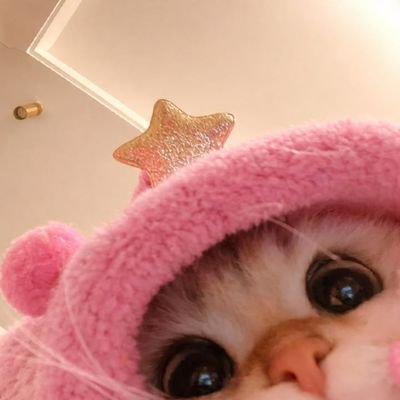 Animal Lovers's profile picture