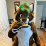 JadeWolf 🔜 CFF 2026's profile picture