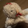 น้องไก่เน่าเอง 🐥💩's profile picture