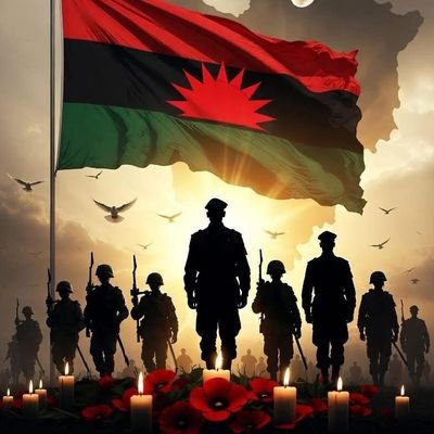 ipob_central's profile picture