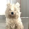kk 的头像