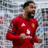 UTDWILSON's profile picture