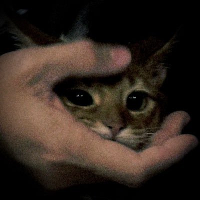 flute_voice_'s profile picture