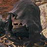 Swif's profile picture