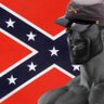 Фото профиля Southern Federalist