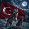 Profilbild von TeamTS 🇹🇷