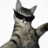 Cat🐈⬛ profil fotoğrafı
