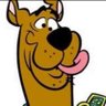 scooby institute's profile picture