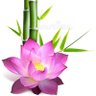 Фото профиля Maria Hachiroku