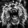 Wled Ben M'hidi's profile picture
