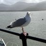Dave Hall's profile picture
