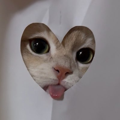 kkkwangsoooo's profile picture