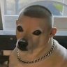 Mujji Baba profil fotoğrafı