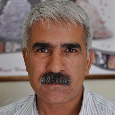 Zülküf Kışanak's profile picture