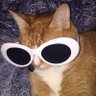 Mand3r's profile picture