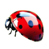 ALMiDรณN ๐ต๐ช (OPEN COMMS 5/10)'s profile picture