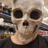 Casey L's profile picture