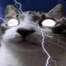 Profilbild von popoi