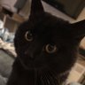 Cormac ꑭ's profile picture