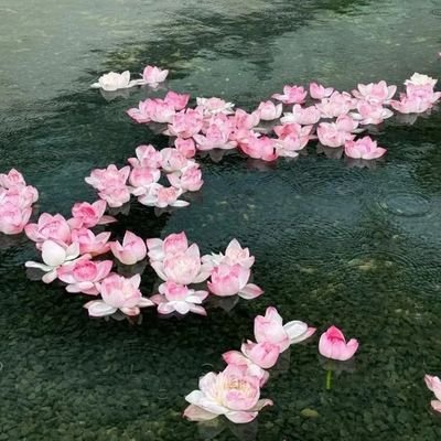 Meghna's profile picture