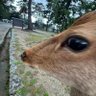 Profilbild von do you want to