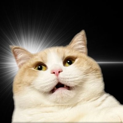 むちゃまる(5)'s profile picture