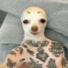 Profilbild von AnDailySis