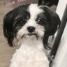 Mo's profile picture