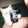 🫥フラグ profil fotoğrafı