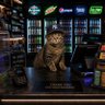 New York Bodega Cat 的头像