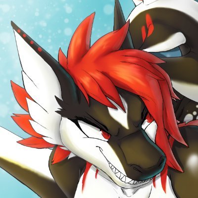 Mavsharkie's profile picture