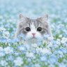 Profilbild von jje¹ᐟ