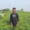 Profilbild von Md Aftab Alam