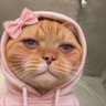 Profilbild von Miss Quoter