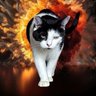 Profilbild von Bobby Dazzler 🏳️‍🌈😺