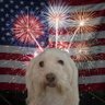 KCPuterDad's profile picture