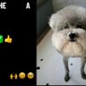 ham profil fotoğrafı