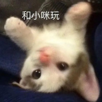 lizhilychee's profile picture