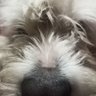 Etalin's profile picture