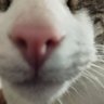 III||||III|I|'s profile picture