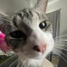 Фото профиля Skippy