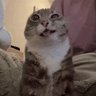 dry's profile picture