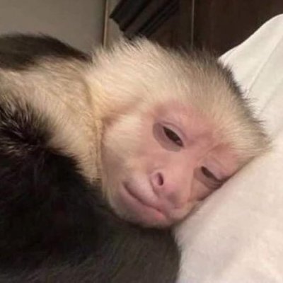 qt0OK's profile picture