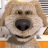 Profilbild von Matt