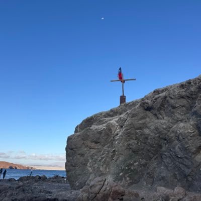 VancoWong's profile picture
