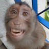 wakawaka's profile picture