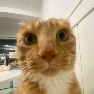 jjaemu_'s profile picture