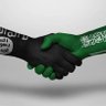 Profilbild von عنصري رغم انفك اكره السعوديه والامارات هم السرطان