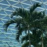 Фото профиля ملاعب القوافي