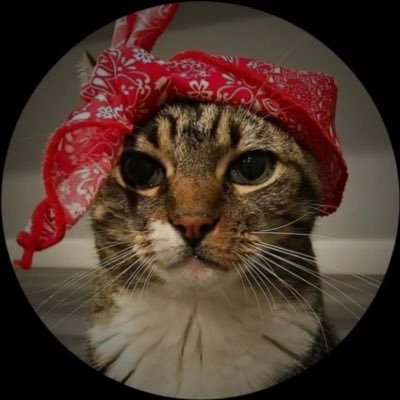 HellonEarth_893's profile picture